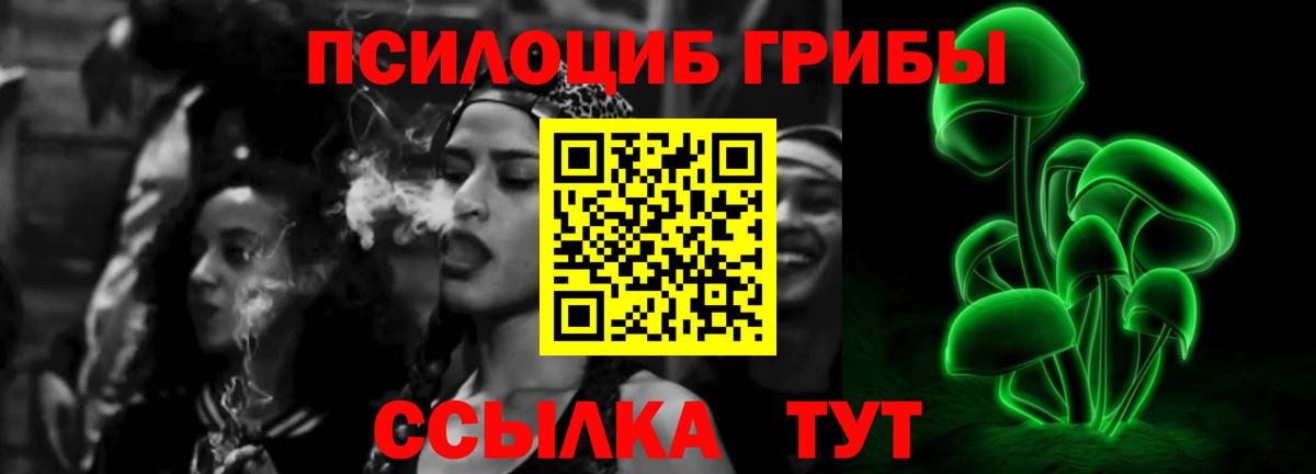 Галлюциногенные грибы Psilocybe Выборг
